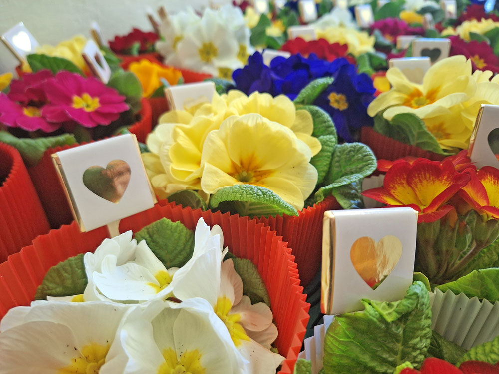 Blumengrüße zum Frauentag